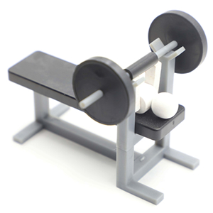 オールタイム12回コース